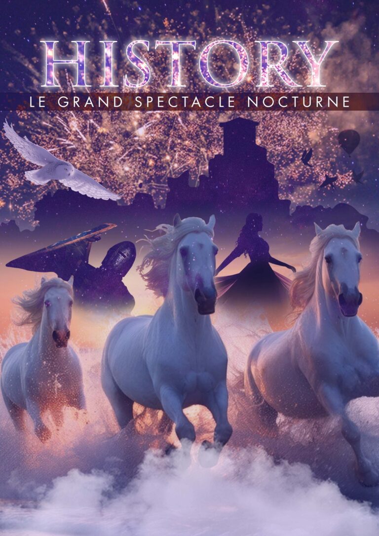 History, le grand spectacle nocturne